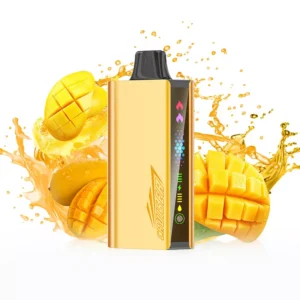 JNR Cruiser 12000 Puffs – Mango Magic