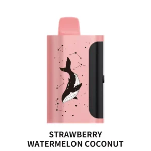 PICCO STAR 40000 Puffs – Strawberry Watermelon Coconut