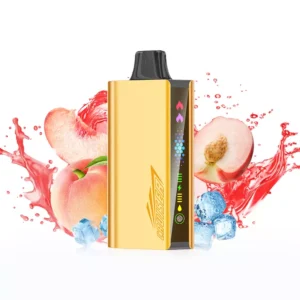 JNR Cruiser 12000 Puffs – Peach Ice
