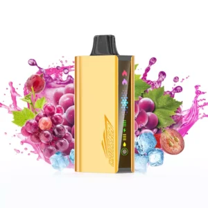 JNR Cruiser 12000 Puffs – Grape Ice