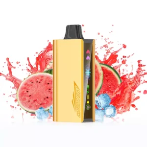 JNR Cruiser 12000 Puffs – Watermelon Ice
